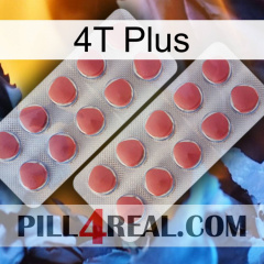 4T Plus 19